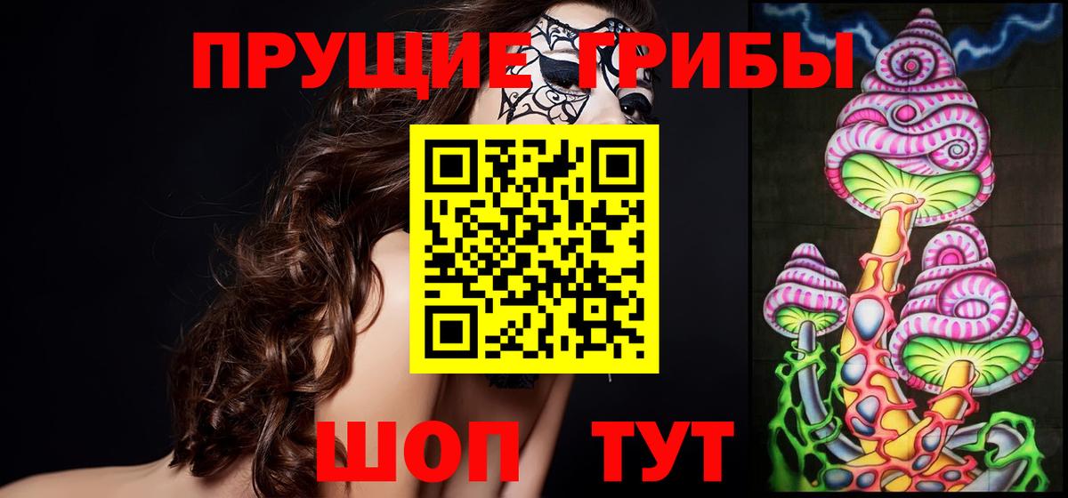 где продают   Вход с VPN  Протвино  Галлюциногенные грибы Cubensis 